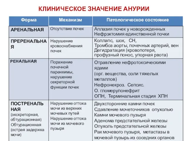 КЛИНИЧЕСКОЕ ЗНАЧЕНИЕ АНУРИИ