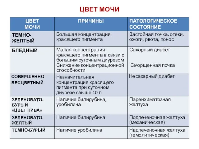 ЦВЕТ МОЧИ