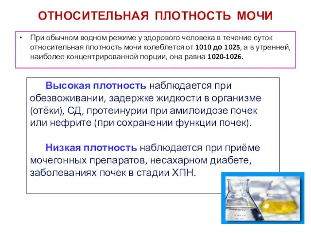 ОТНОСИТЕЛЬНАЯ ПЛОТНОСТЬ МОЧИ При обычном водном режиме у здорового человека в течение