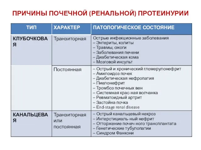 ПРИЧИНЫ ПОЧЕЧНОЙ (РЕНАЛЬНОЙ) ПРОТЕИНУРИИ