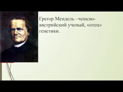 Грегор Мендель –чешско-австрийский ученый, «отец» генетики.