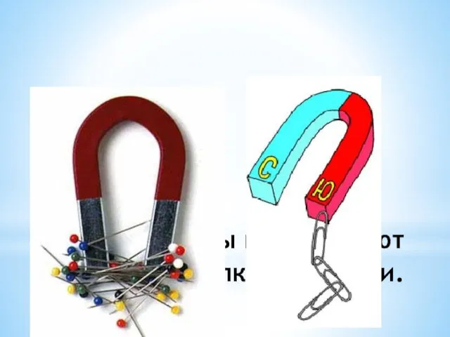 Магниты притягивают скрепки и булавки.