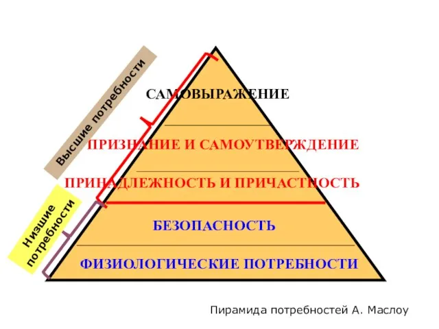 Высшие потребности Низшие потребности Пирамида потребностей А. Маслоу