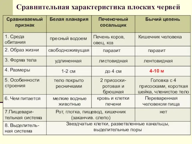 Сравнительная характеристика плоских червей пресный водоем Печень коров, овец, коз Кишечник человека