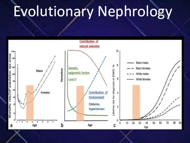 Evolutionary Nephrology