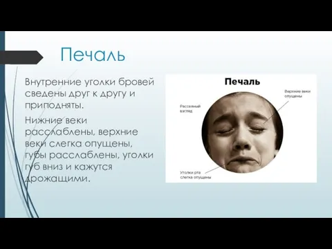 Печаль Внутренние уголки бровей сведены друг к другу и приподняты. Нижние веки