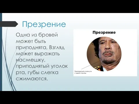 Презрение Одна из бровей может быть приподнята, Взгляд может выражать насмешку, приподнятый