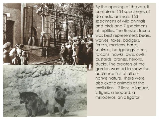 By the opening of the zoo, it contained 134 specimens of domestic