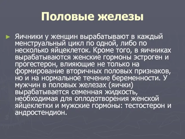 Половые железы Яичники у женщин вырабатывают в каждый менструальный цикл по одной,