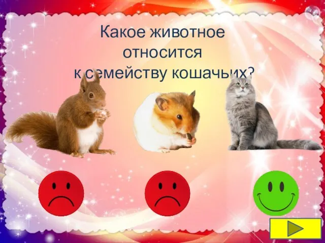 Какое животное относится к семейству кошачьих?