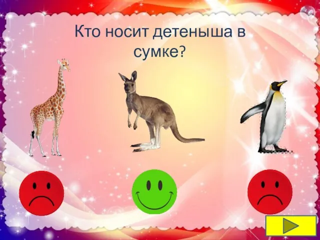 Кто носит детеныша в сумке?