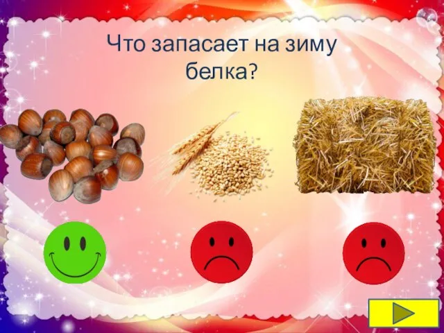 Что запасает на зиму белка?