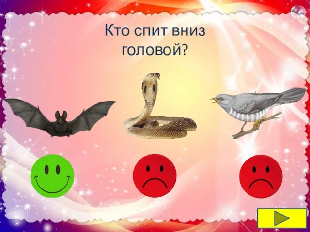 Кто спит вниз головой?