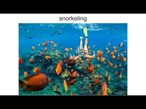 snorkeling