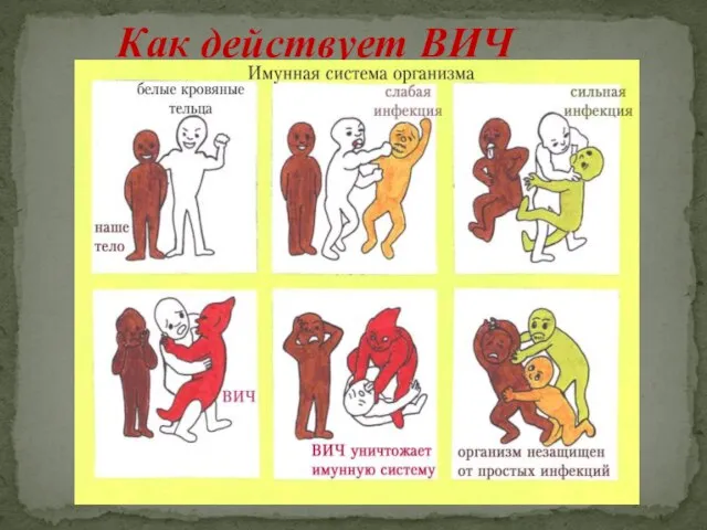 Как действует ВИЧ