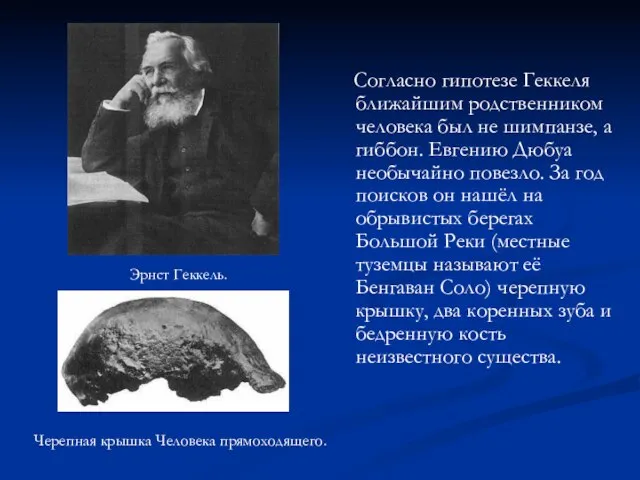 Согласно гипотезе Геккеля ближайшим родственником человека был не шимпанзе, а гиббон. Евгению