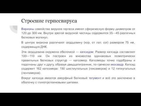 Строение герпесвируса Вирионы семейства вирусов герпеса имеют сферическую форму диаметром от 120