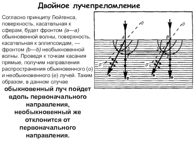 Двойное лучепреломление Согласно принципу Гюйгенса, поверхность, касательная к сферам, будет фронтом (а—а)