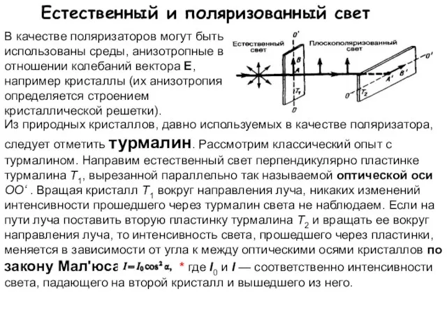 Естественный и поляризованный свет В качестве поляризаторов могут быть использованы среды, анизотропные