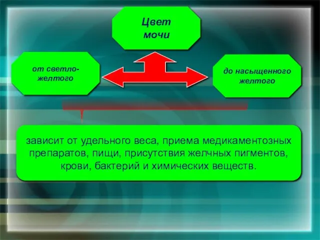 от светло-желтого до насыщенного желтого Цвет мочи зависит от удельного веса, приема