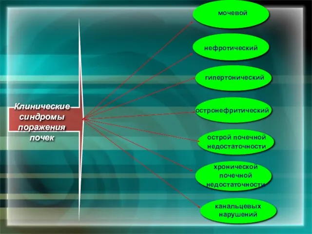 Клинические синдромы поражения почек мочевой нефротический гипертонический остронефритический острой почечной недостаточности хронической почечной недостаточности канальцевых нарушений