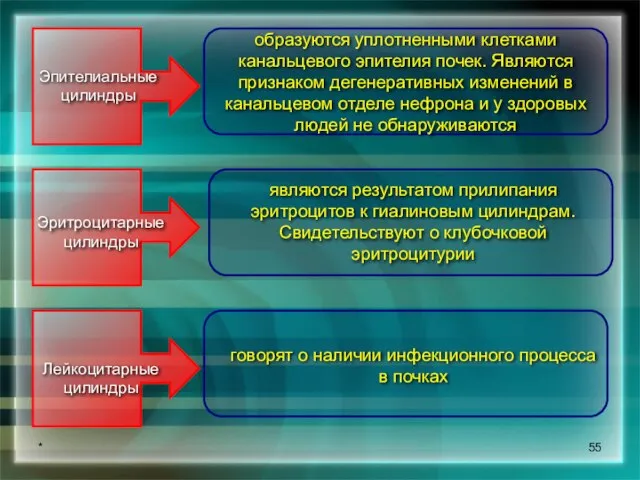 * Эпителиальные цилиндры образуются уплотненными клетками канальцевого эпителия почек. Являются признаком дегенеративных