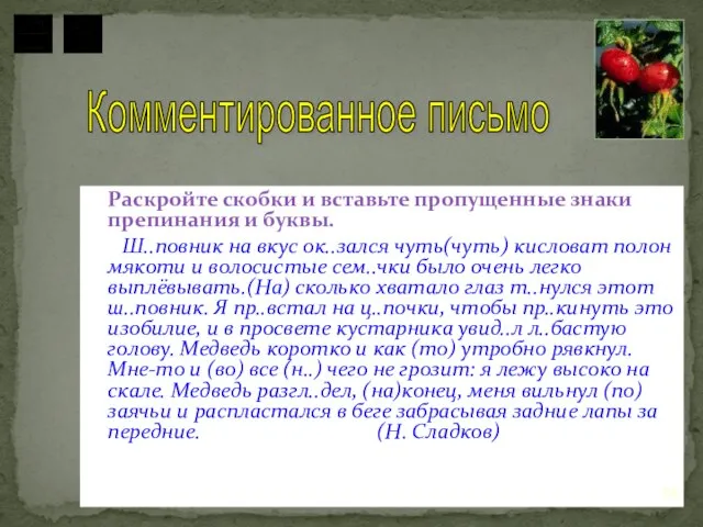 Раскройте скобки и вставьте пропущенные знаки препинания и буквы. Ш..повник на вкус