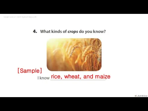 Insight Link L1 (CH2 Special Days_L6) rice, wheat, and maize [Sample]