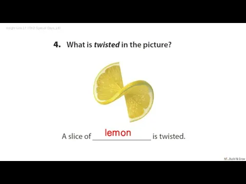 Insight Link L1 (CH2 Special Days_L8) lemon