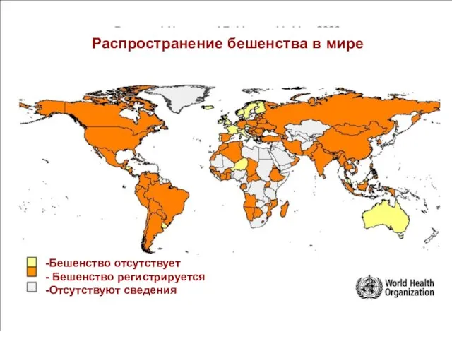 Распространение бешенства в мире Бешенство отсутствует Бешенство регистрируется Отсутствуют сведения