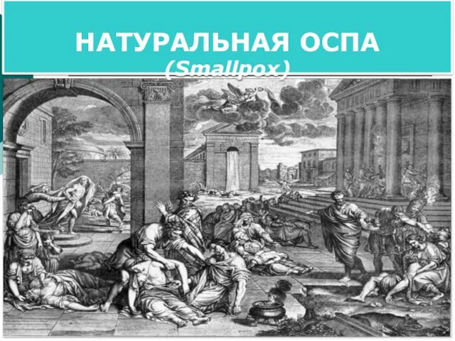 НАТУРАЛЬНАЯ ОСПА (Smallpox)