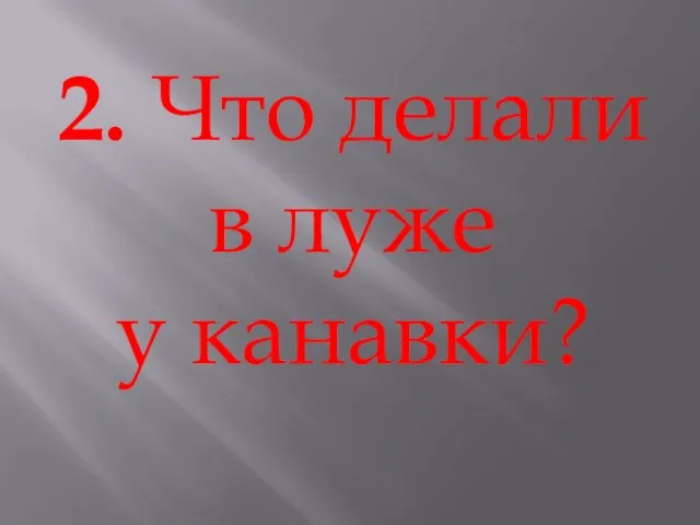 2. Что делали в луже у канавки?