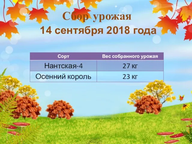 Сбор урожая 14 сентября 2018 года