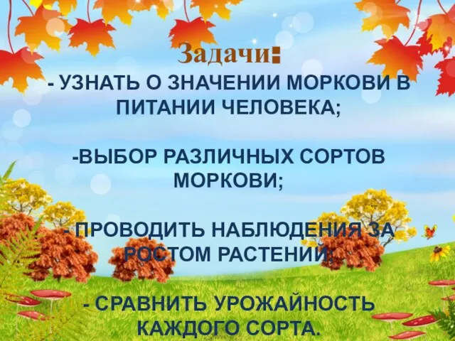 Задачи: - УЗНАТЬ О ЗНАЧЕНИИ МОРКОВИ В ПИТАНИИ ЧЕЛОВЕКА; -ВЫБОР РАЗЛИЧНЫХ СОРТОВ