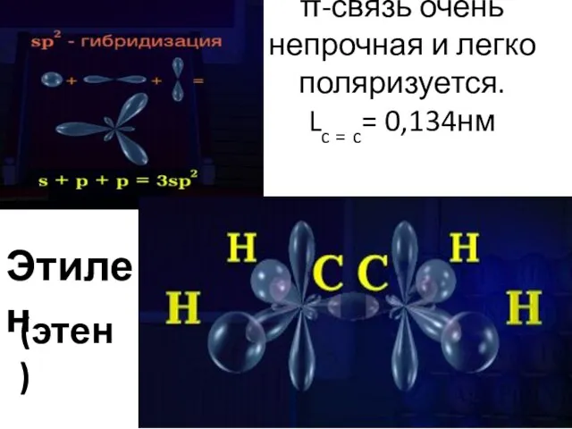 π-связь очень непрочная и легко поляризуется. Lc = c= 0,134нм Этилен (этен)