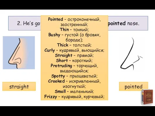 2. He’s got a straight/curly/crooked/pointed nose. straight curly crooked pointed Pointed –