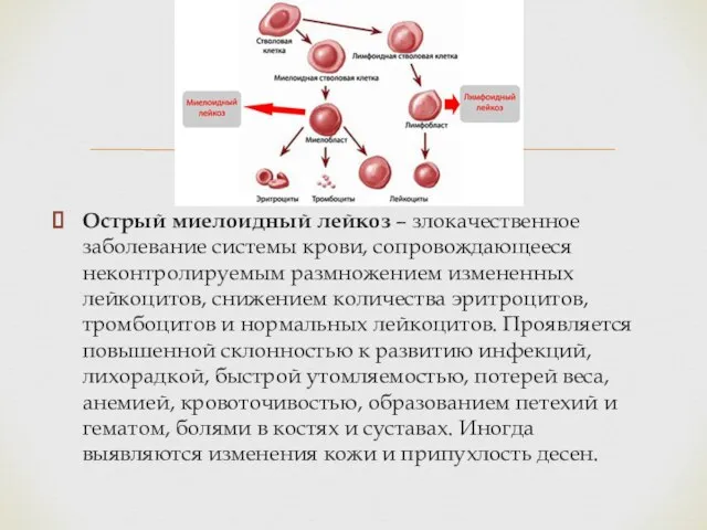 Острый миелоидный лейкоз – злокачественное заболевание системы крови, сопровождающееся неконтролируемым размножением измененных