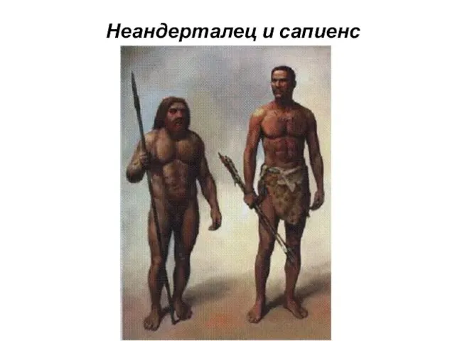 Неандерталец и сапиенс