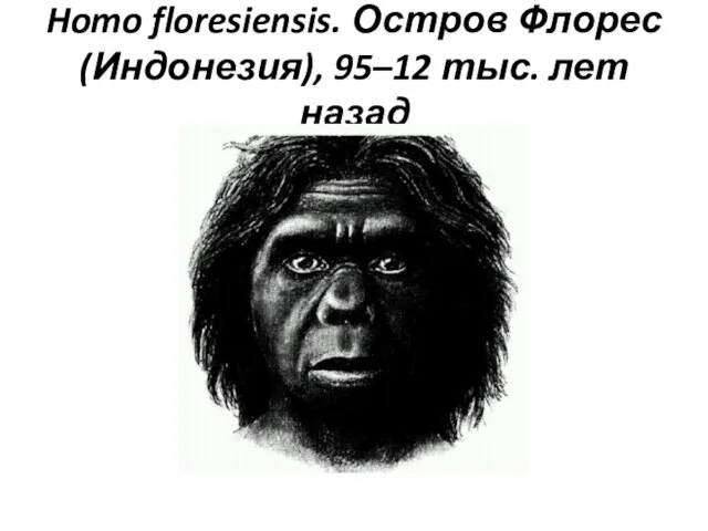 Homo floresiensis. Остров Флорес (Индонезия), 95–12 тыс. лет назад