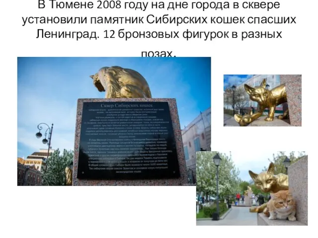 В Тюмене 2008 году на дне города в сквере установили памятник Сибирских