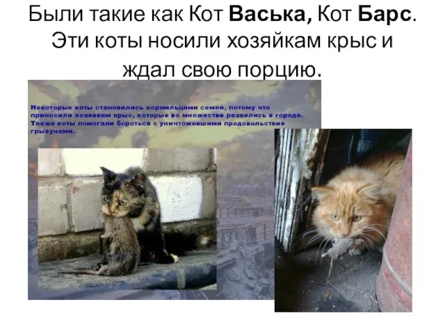 Были такие как Кот Васька, Кот Барс. Эти коты носили хозяйкам крыс и ждал свою порцию.