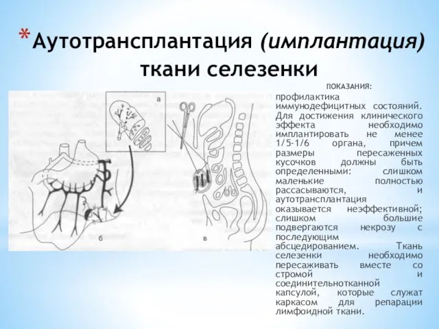 Аутотрансплантация (имплантация) ткани селезенки ПОКАЗАНИЯ: профилактика иммунодефицитных состояний. Для достижения клинического эффекта