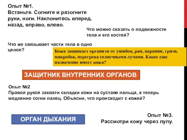 Опыт №1. Встаньте. Согните и разогните руки, ноги. Наклонитесь вперед, назад, вправо,