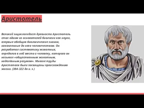 Аристотель Великий энциклопедист древности Аристотель стал одним из основателей биологии как науки,