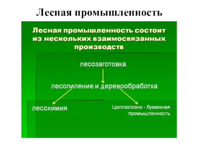 Лесная промышленность