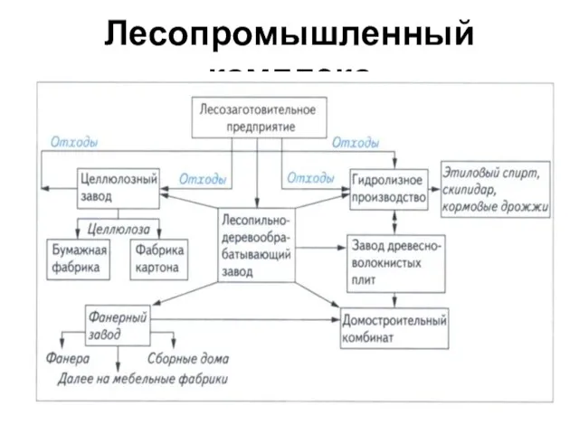 Лесопромышленный комплекс