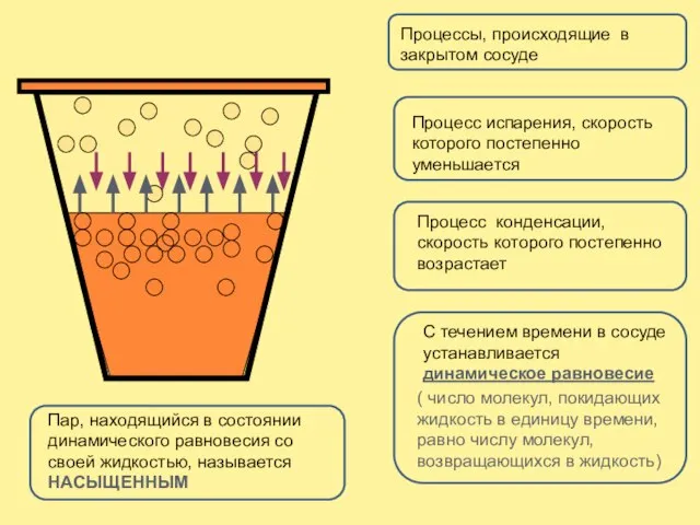 Процессы, происходящие в закрытом сосуде Процесс испарения, скорость которого постепенно уменьшается Процесс