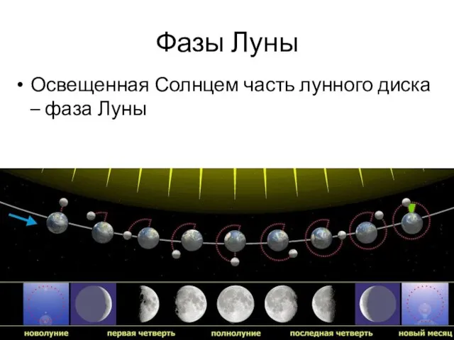 Фазы Луны Освещенная Солнцем часть лунного диска – фаза Луны