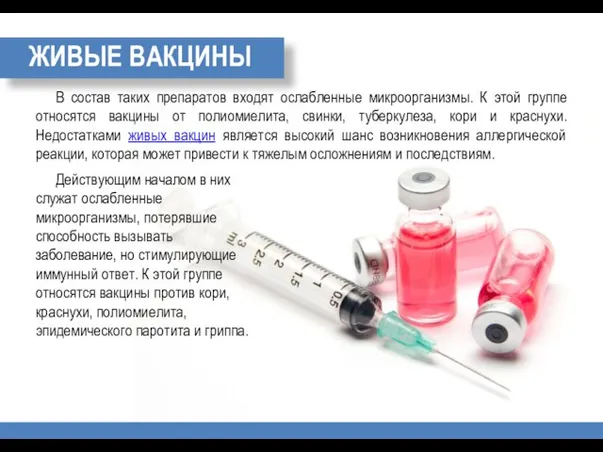 ЖИВЫЕ ВАКЦИНЫ В состав таких препаратов входят ослабленные микроорганизмы. К этой группе