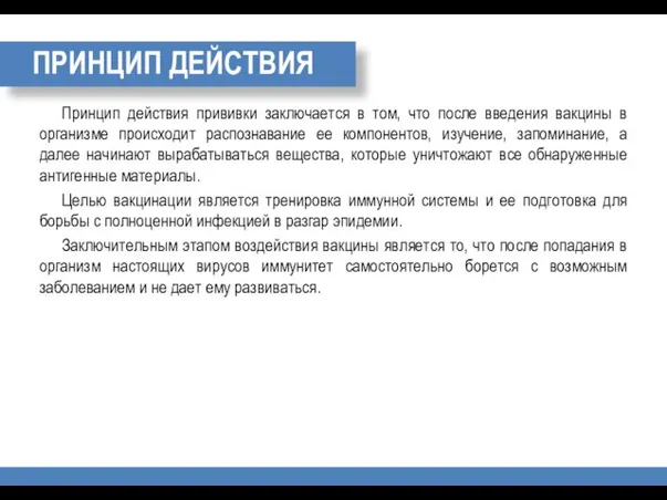 ПРИНЦИП ДЕЙСТВИЯ Принцип действия прививки заключается в том, что после введения вакцины